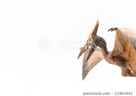 Pteranodon: Pteranodon Pteranodon: Pteranodon 22963442