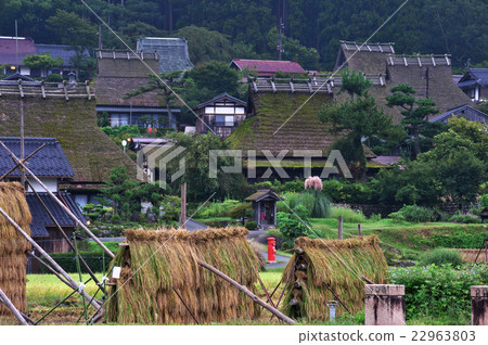 米糕和紅色圓的崗位米槳 22963803