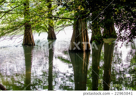 Sasaguri Kyudai no Mori 22963841