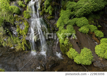 女神冰水 22963898