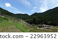 Ishigaki Rice paddy 10 22963952