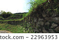 Ishigaki Rice paddy 10 22963953
