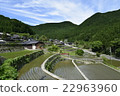 Ishigaki Rice paddy 10 22963960