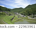Ishigaki Rice paddy 10 22963961