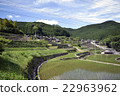 Ishigaki Rice paddy 10 22963962