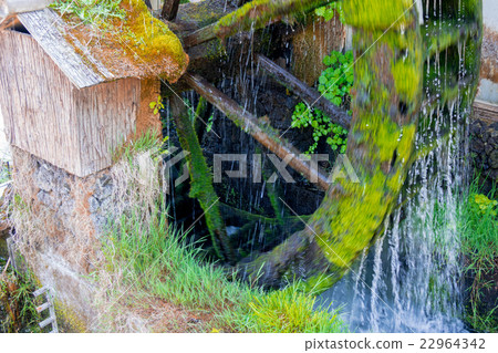 Mossy water mill 22964342