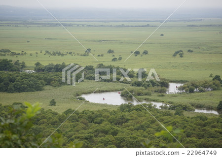 Kushiro wetland of light haze 22964749