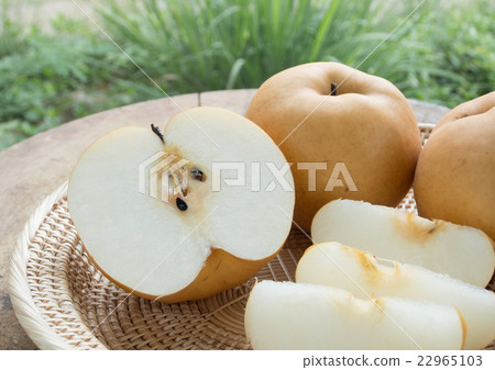 chinese pear 22965103