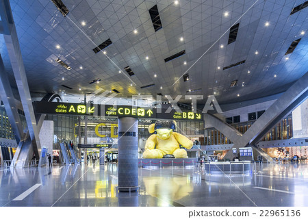 Hamad International Airport indoor landscape 22965136