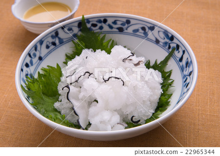 漂白的鯨魚 漂白的鯨魚 22965344