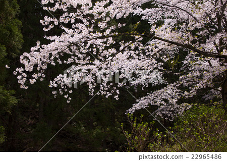 150412大鹽湖16 22965486