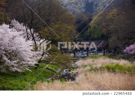 150412大鹽湖18 22965488