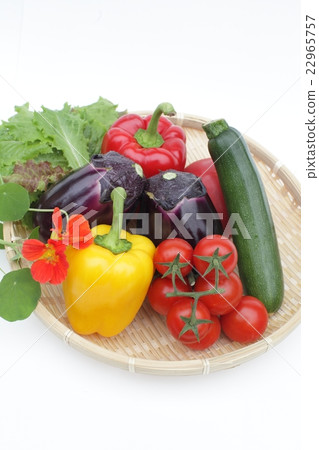 夏季蔬菜 夏季蔬菜 22965757