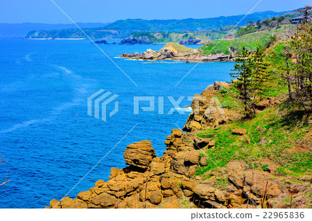 Noto gold · View of Seino nose from the cliff observatory of Yase 22965836