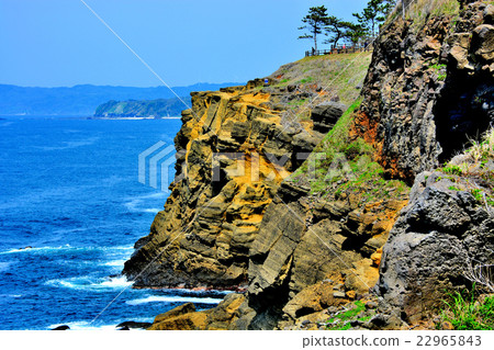 Noto Gumi · Cliff cliff of Yasu seen from the boardwalk (6) 22965843