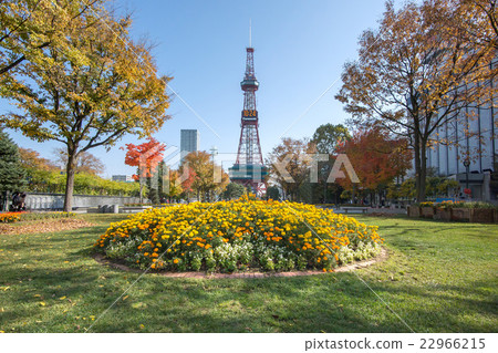 札幌大通公園 札幌大通公園 22966215