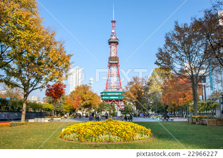 札幌大通公園和札幌電視塔 札幌大通公園和札幌電視塔 22966227