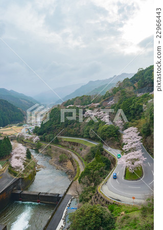 山中風光』 22966443