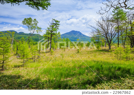 Nikko Spring的Senjogahara（Taro Mountain，Mitake） 22967862