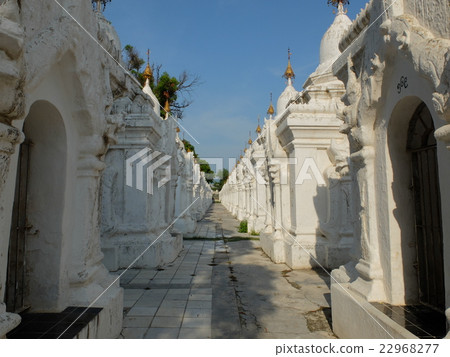 曼德勒的Cutodapagota 22968277