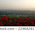 Scenery from Mandalay Hill 22968281