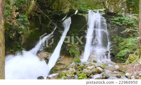 三室瀑布的新鮮綠色 22968950