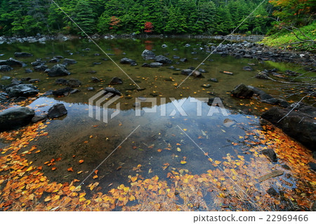 Autumn color Kitayama Yatsugatake · Turtle pond Autumn color Kitayama Yatsugatake · Turtle pond 22969466