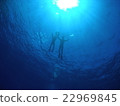 Silhouette from deep underwater 22969845