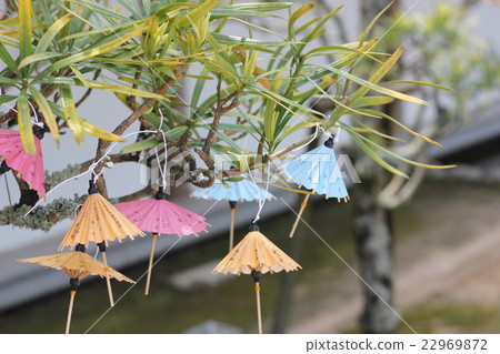 傘omikuji 22969872