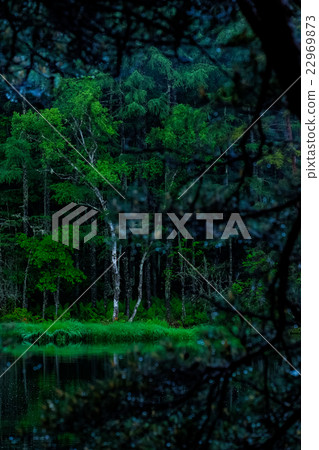 Shark pond (41) 22969873