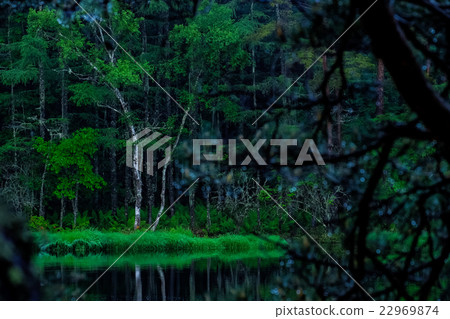 Shrine pond (42) 22969874