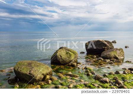 Foundlings on shore of the Baltic Sea 22970401