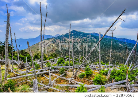 Yatsugatake Yatsugatake 22970565