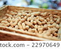 Peanut peanuts 22970649