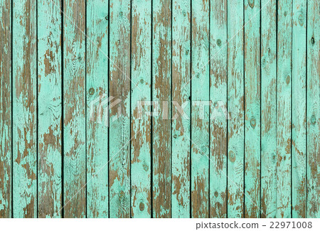 Texture of weathered green wooden fence 22971008