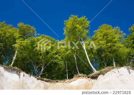 Chalk cliff on the island Ruegen Chalk cliff on the island Ruegen 22971828