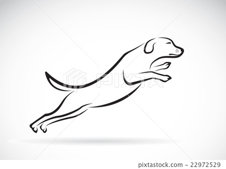 Vector image of an dog jumping Vector image of an dog jumping 22972529