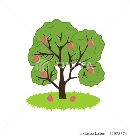 Peach Tree Icon Peach Tree Icon 22972774