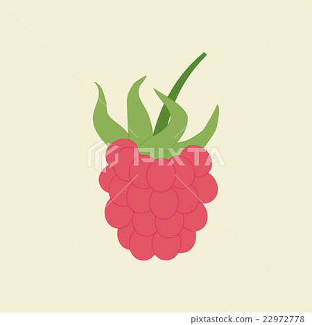 Raspberry Berry Icon Raspberry Berry Icon 22972778