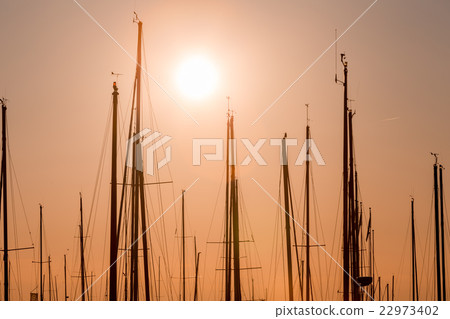rows of boats mast 22973402