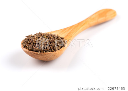 Caraway seeds in spoon Caraway seeds in spoon 22973463