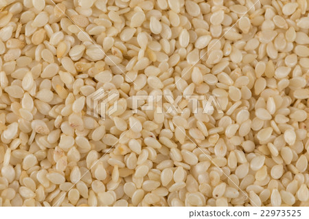 Closeup of lots of sesame seeds Closeup of lots of sesame seeds 22973525