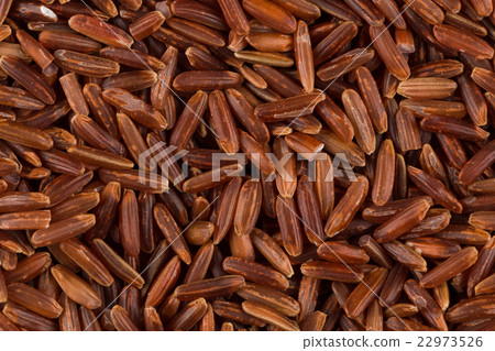 Raw red rice Raw red rice 22973526