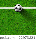 soccer football on grass field 22973821