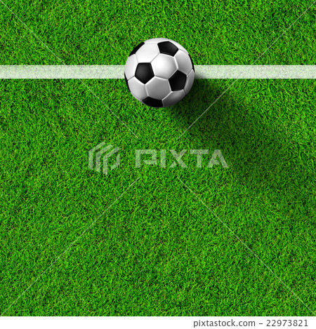 soccer football on grass field soccer football on grass field 22973821