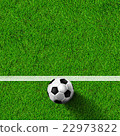 soccer football on grass field 22973822