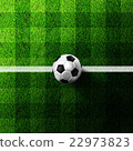 soccer football on grass field 22973823
