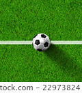 soccer football on grass field 22973824