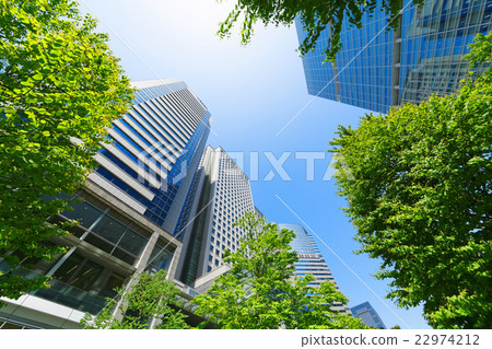 Young leaves and fresh green Shinagawa Intercity and Shinagawa Grand Commons Young leaves and fresh green Shinagawa Intercity and Shinagawa Grand Commons 22974212