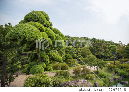 大仙公園的Inumaki 22974348